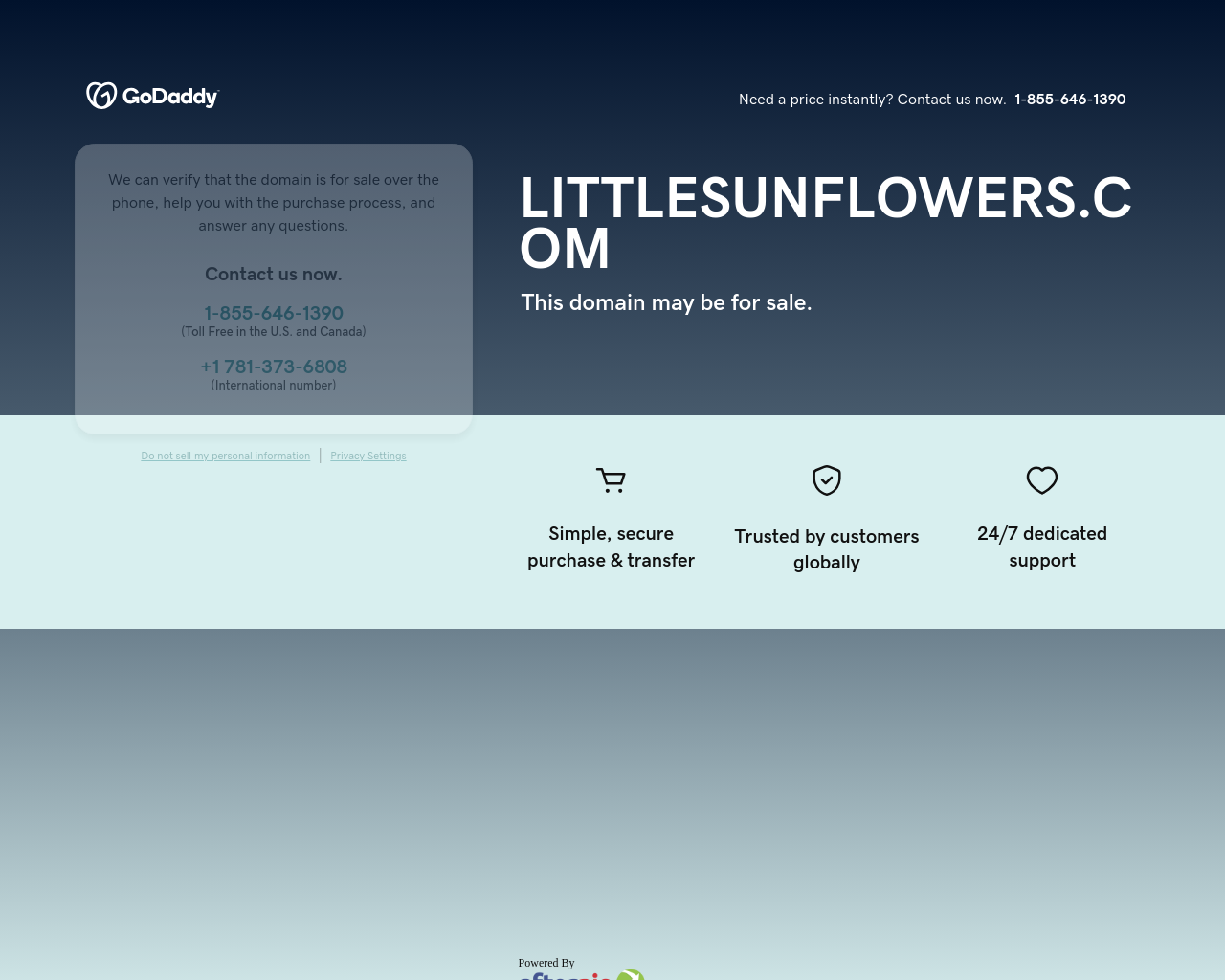 littlesunflowers.com