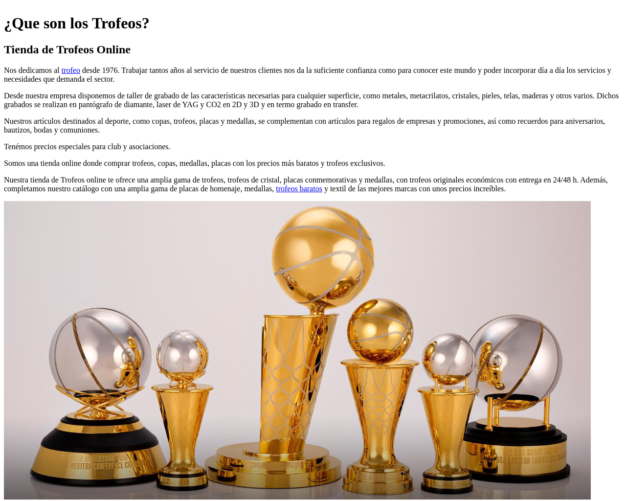 trofeos-sanjavier.com
