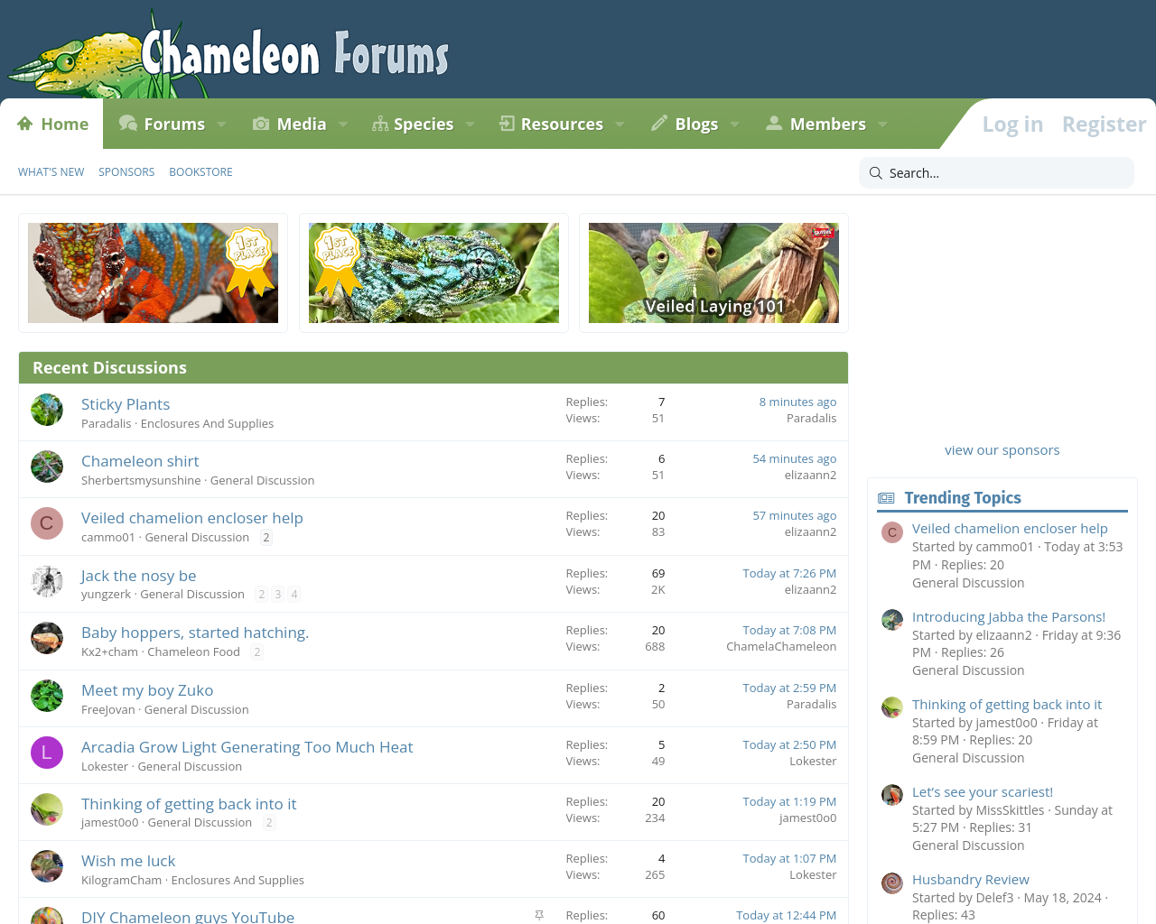 chameleonforums.com