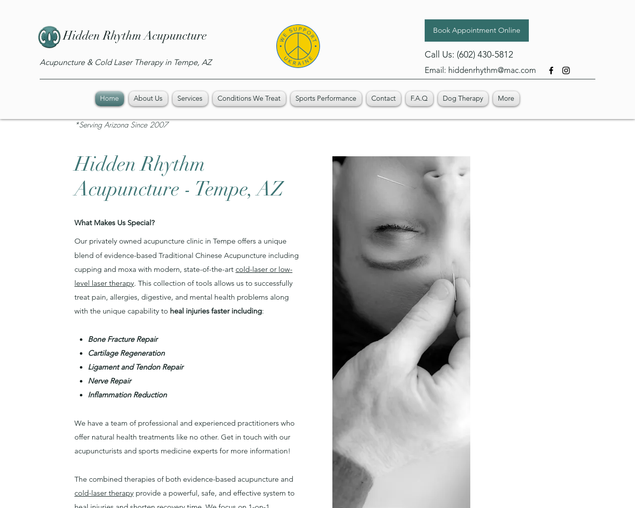 hiddenrhythmacupuncture.com