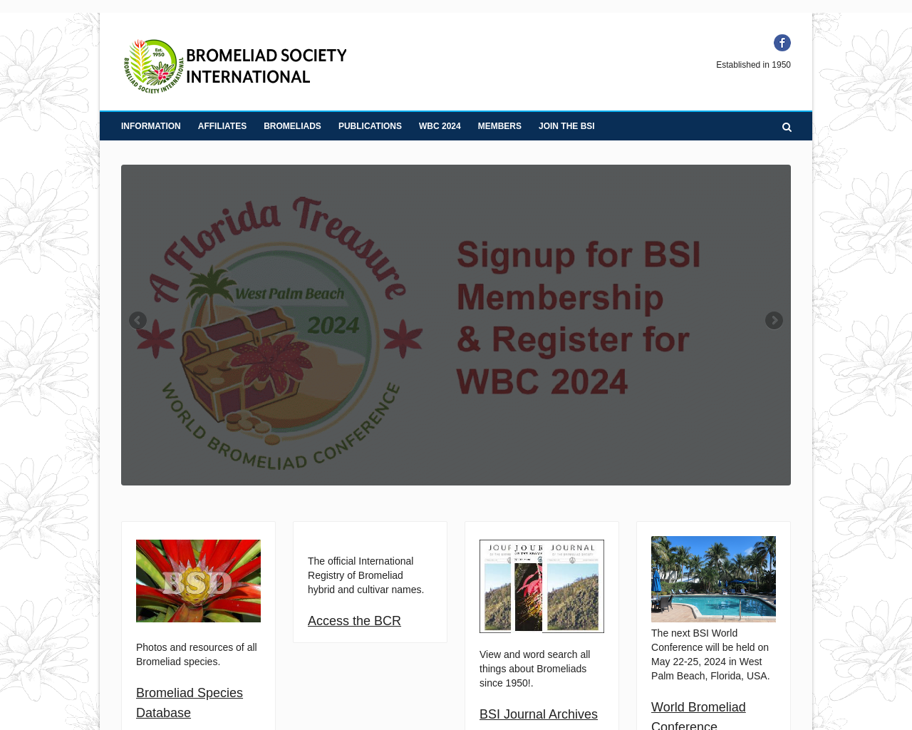 bsi.org