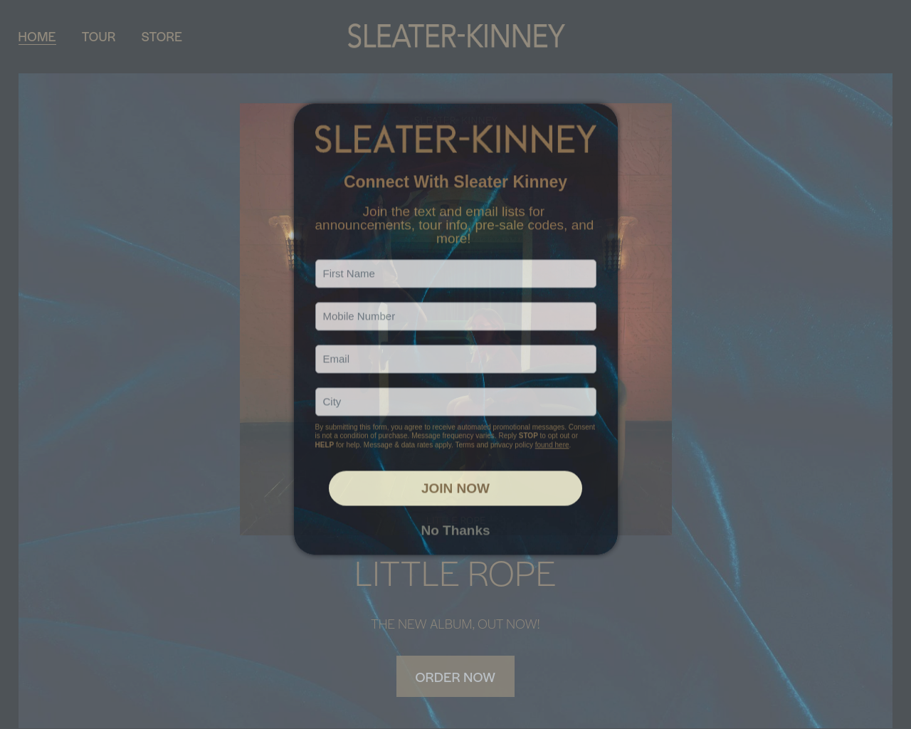 sleater-kinney.com