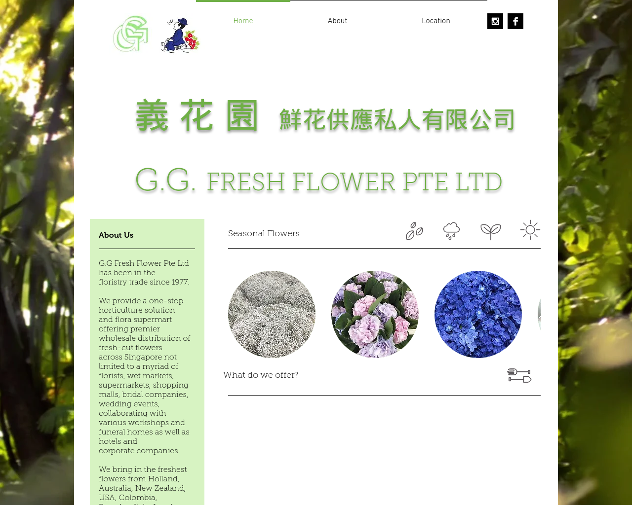 ggfreshflower.com