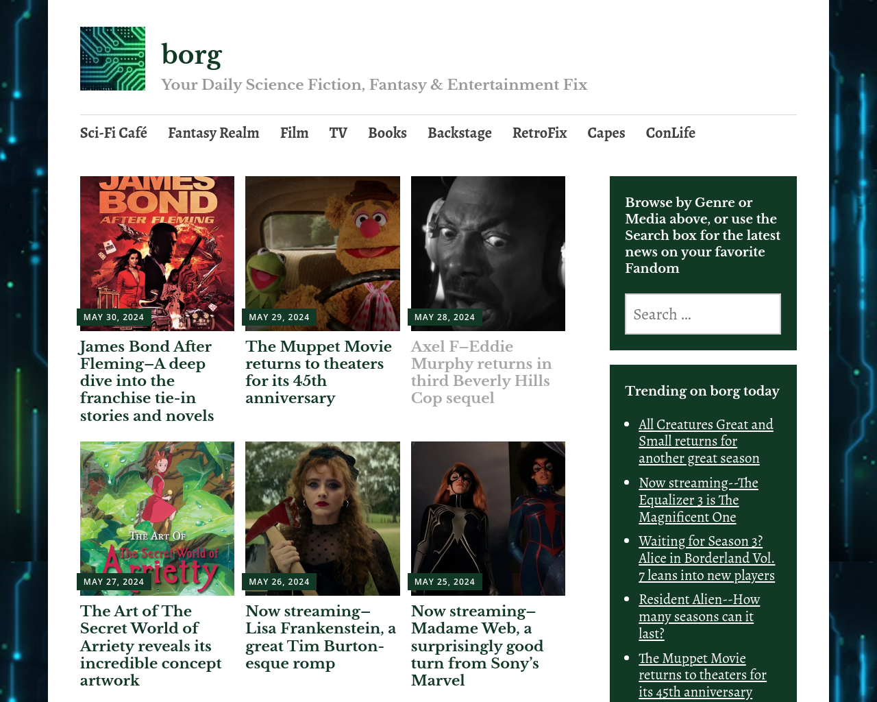 borg.com