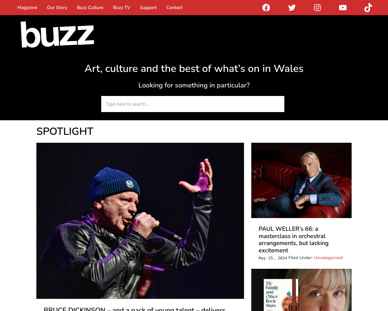 buzzmag.co.uk