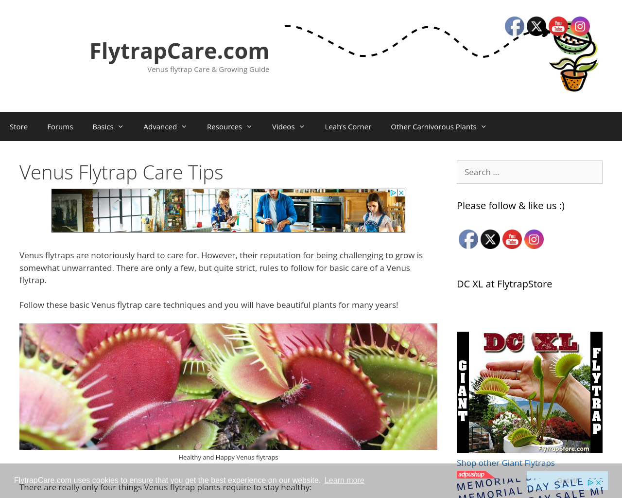 flytrapcare.com