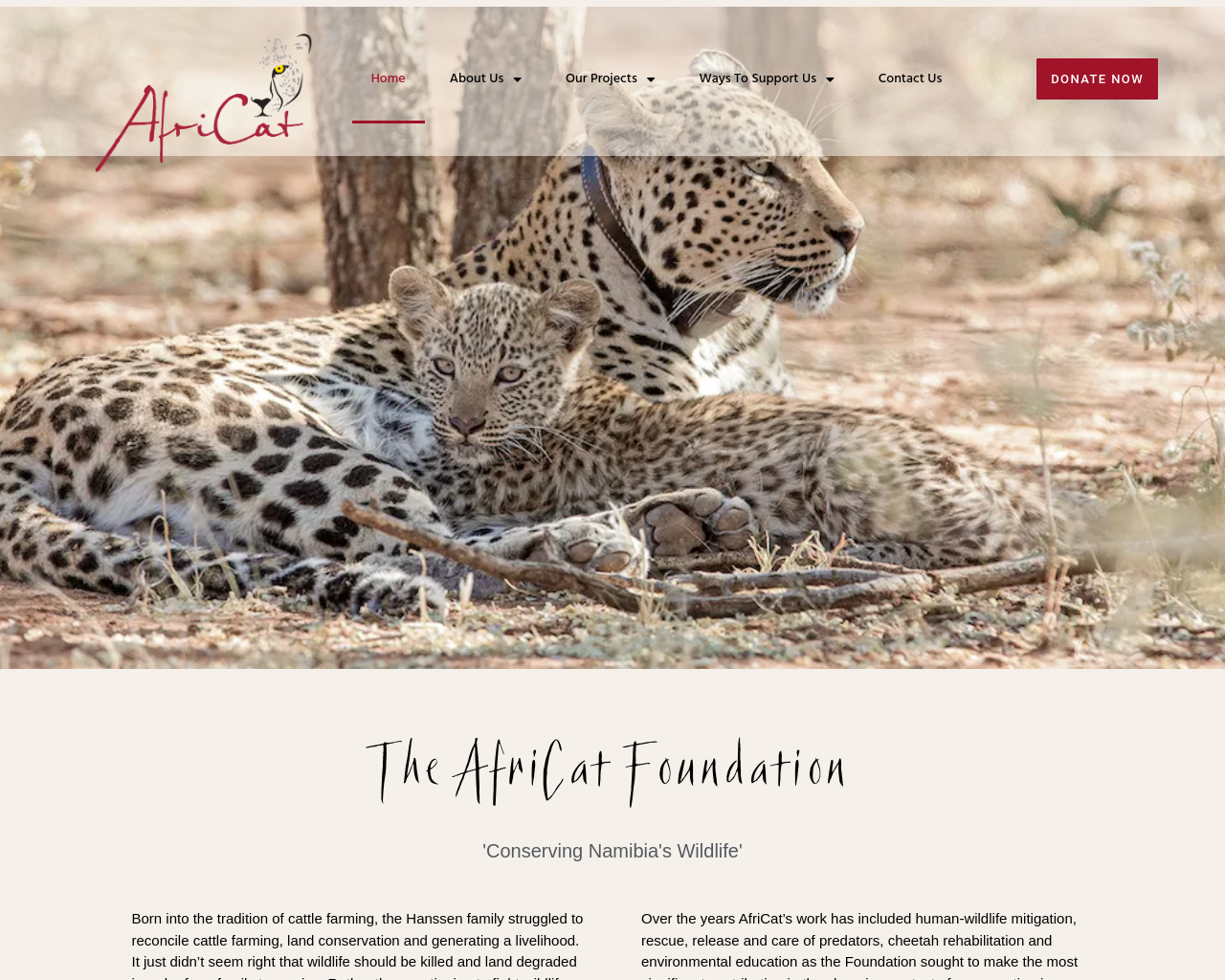 africat.org