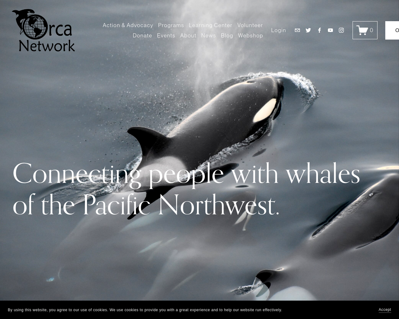 orcanetwork.org