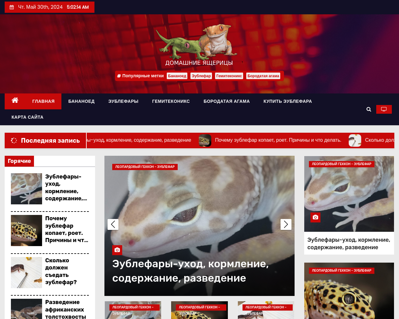 animals-portal.ru