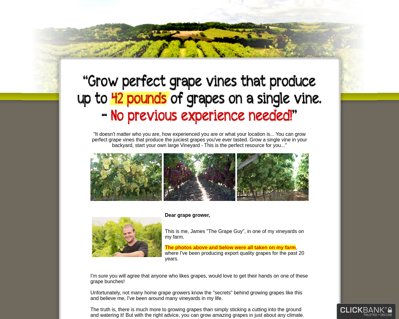 my-grape-vine.com