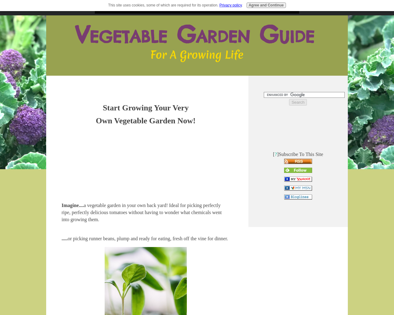 vegetable-garden-guide.com
