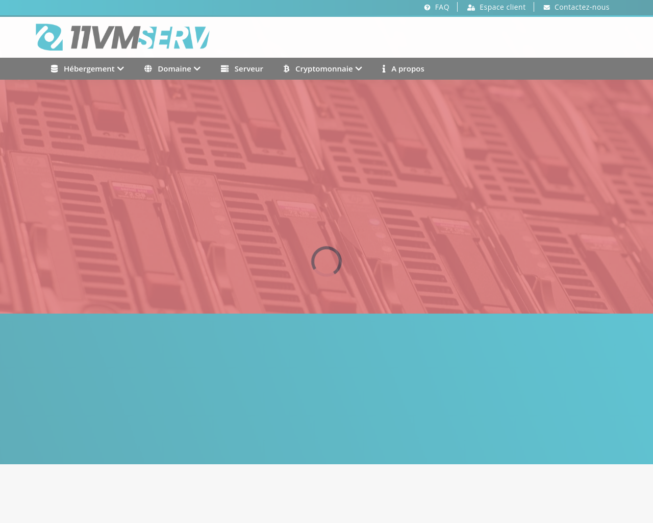 11vm-serv.net
