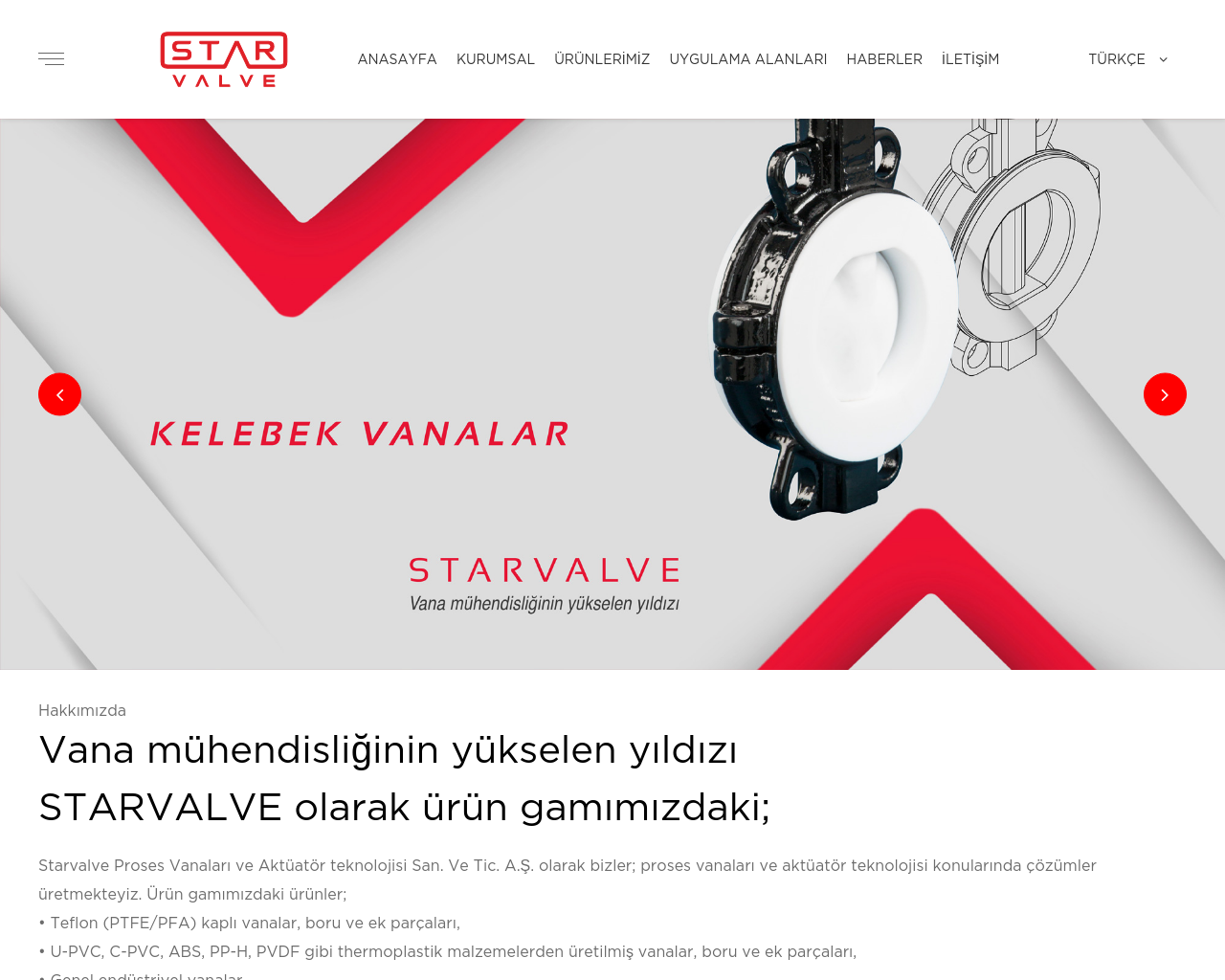 starvalve.com.tr