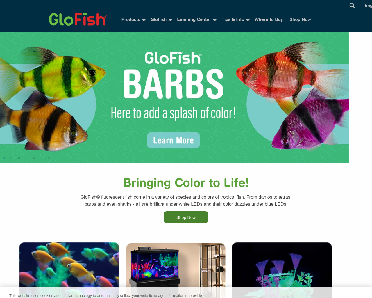 glofish.com