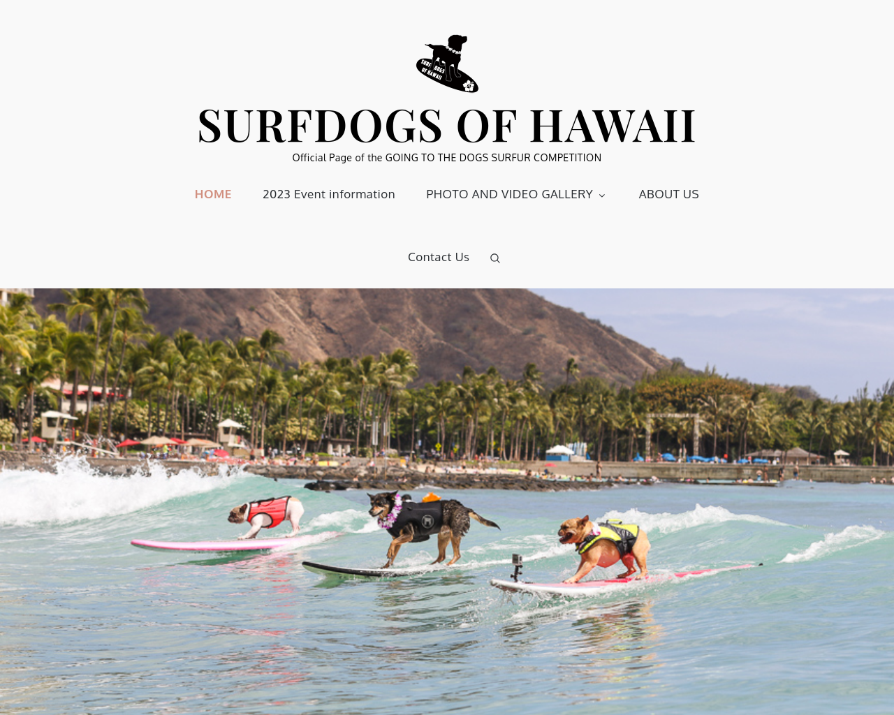 surfdogshawaii.com