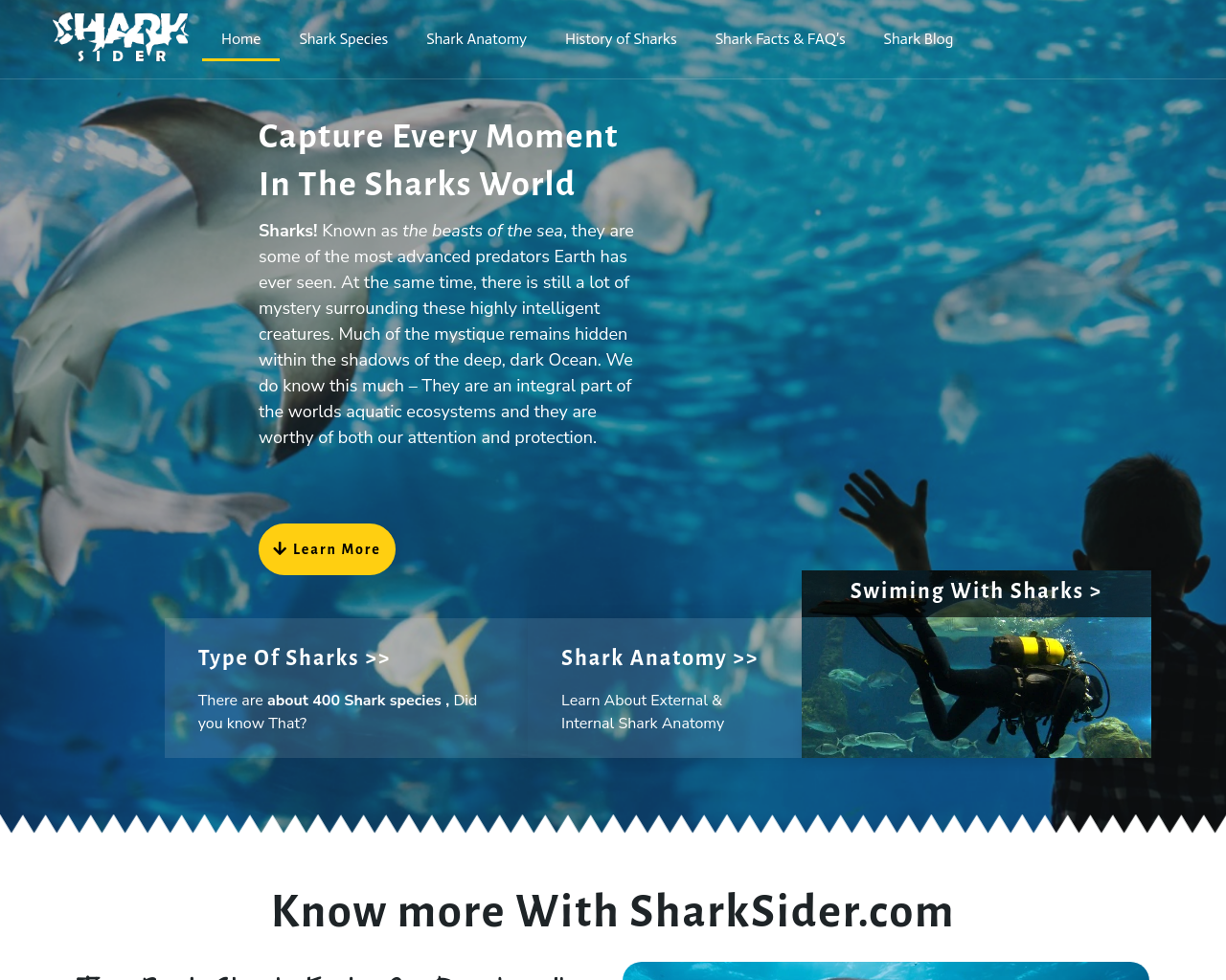 sharksider.com
