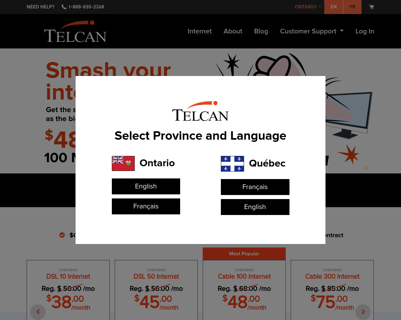 telcan.net
