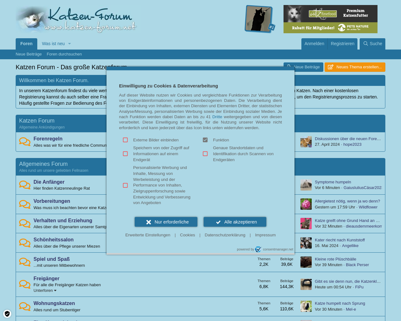 katzen-forum.net