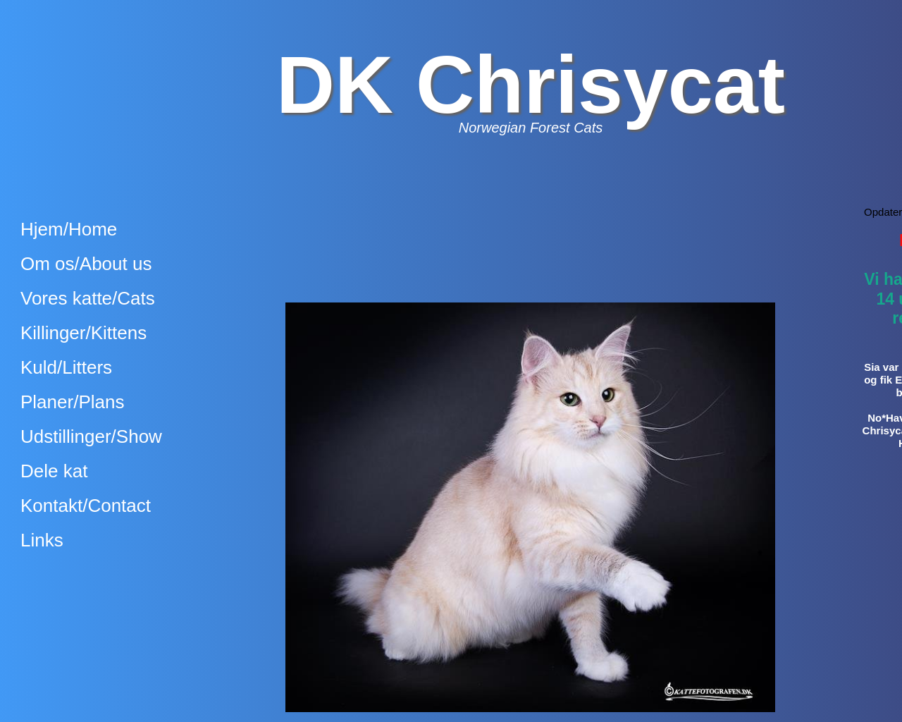 chrisycat.dk