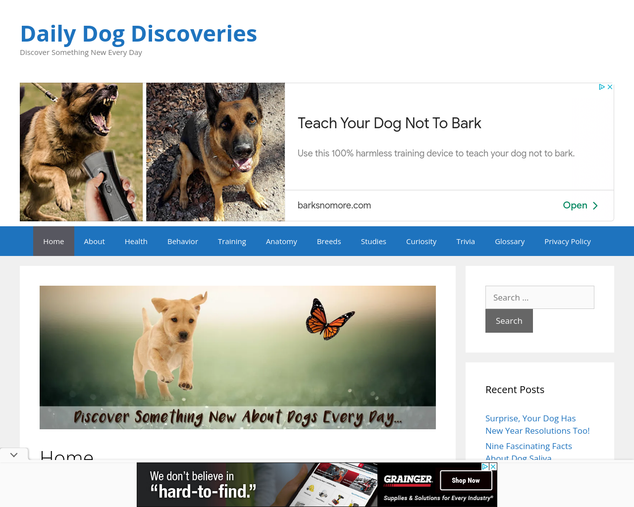 dailydogdiscoveries.com