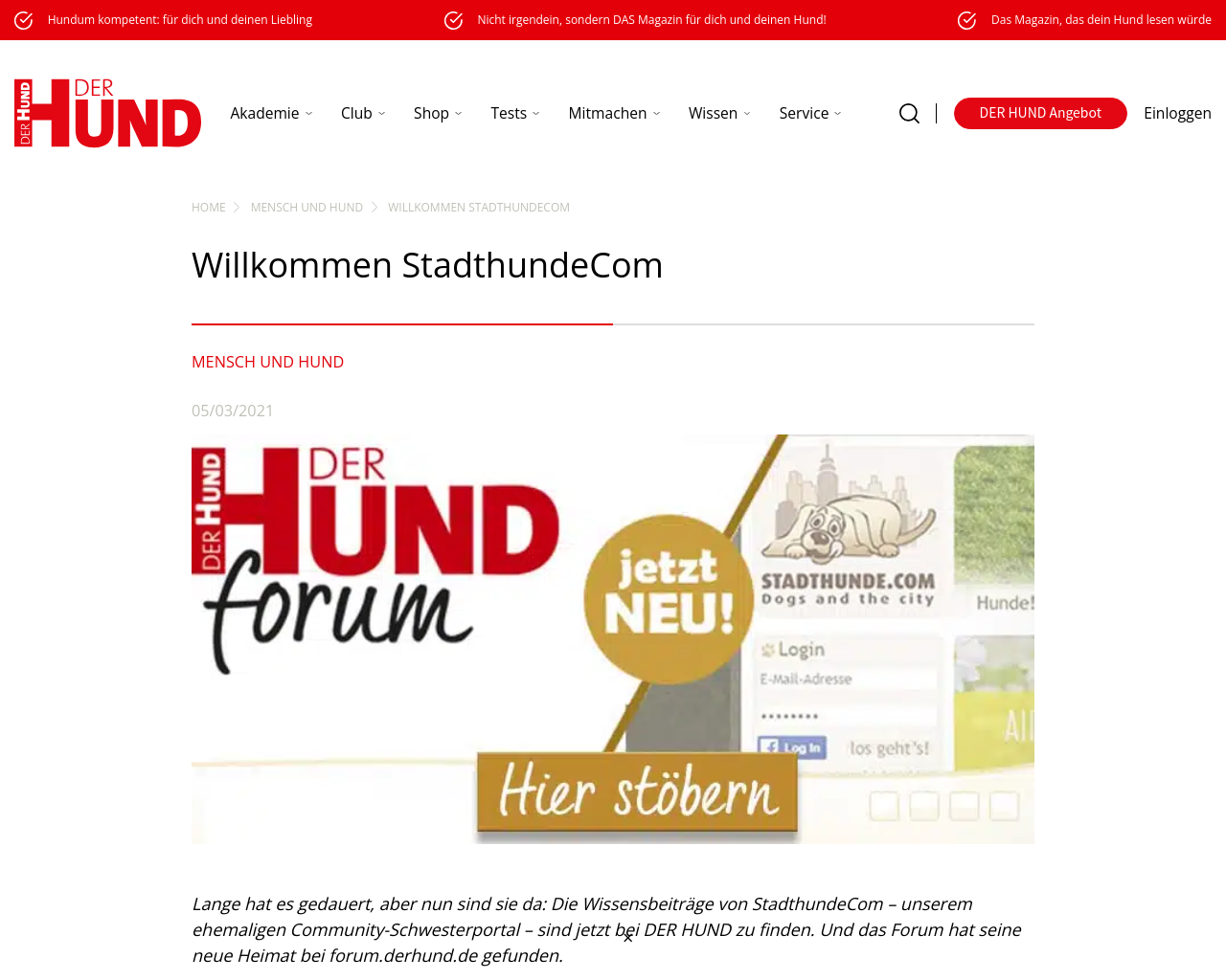stadthunde.com