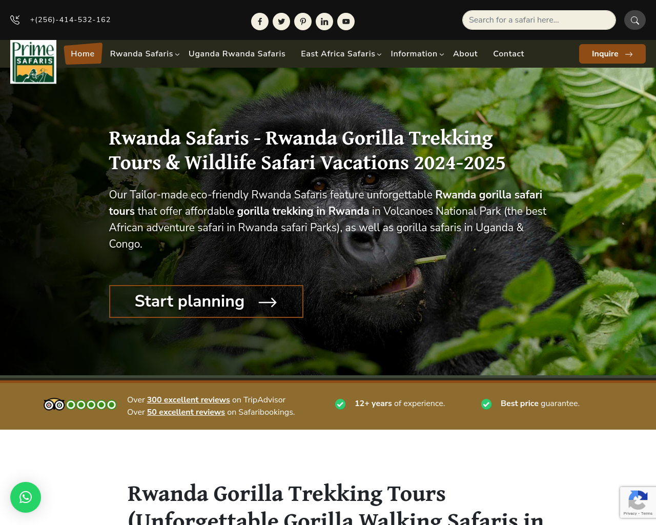 www.gorillasafarirwanda.net