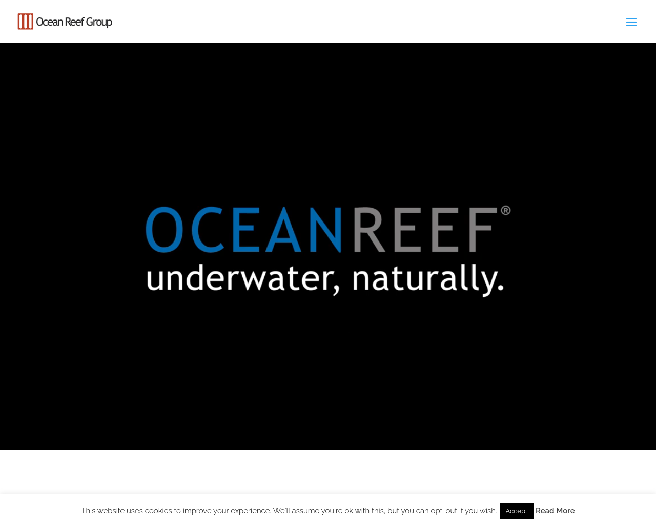 oceanreefgroup.com