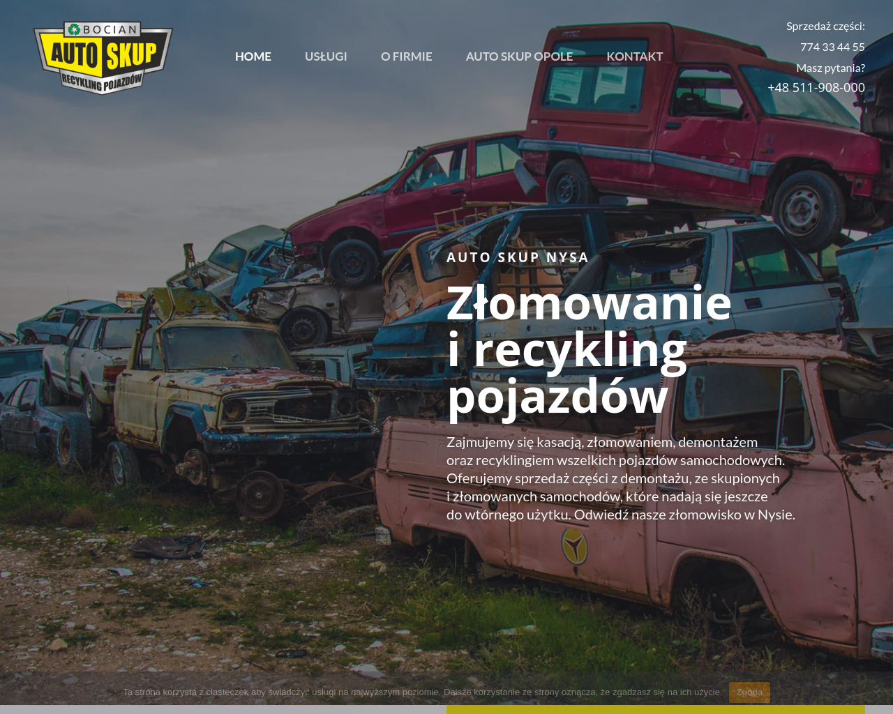recykling.nysa.pl