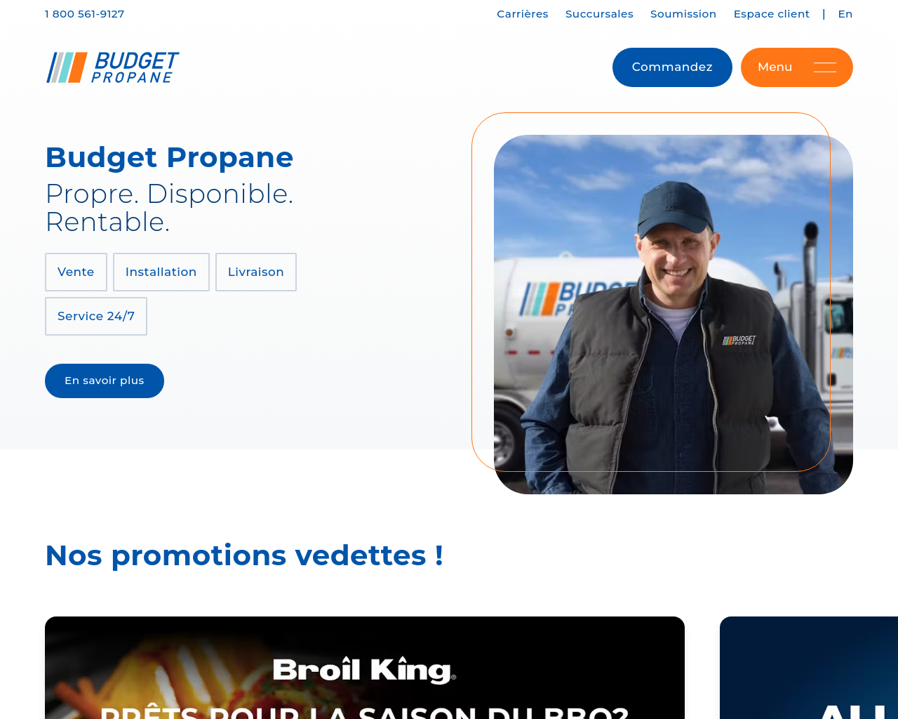 budgetpropane.com
