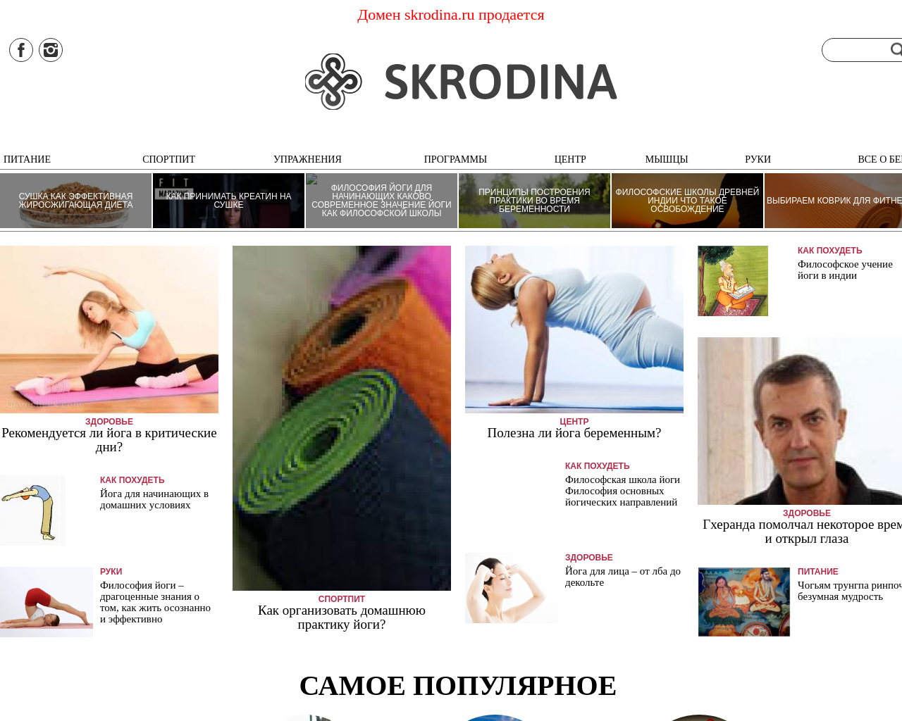 skrodina.ru