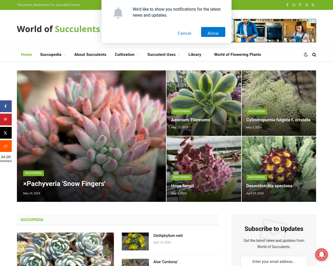 worldofsucculents.com