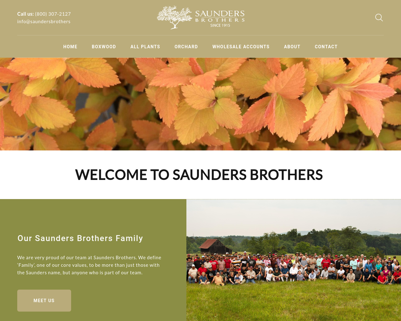 saundersbrothers.com