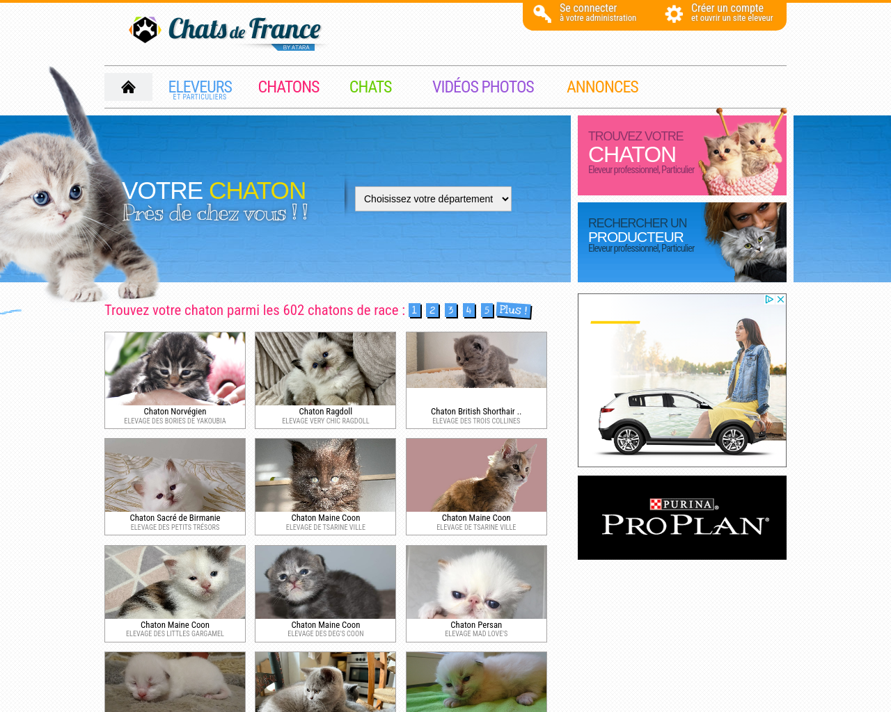 chats-de-france.com