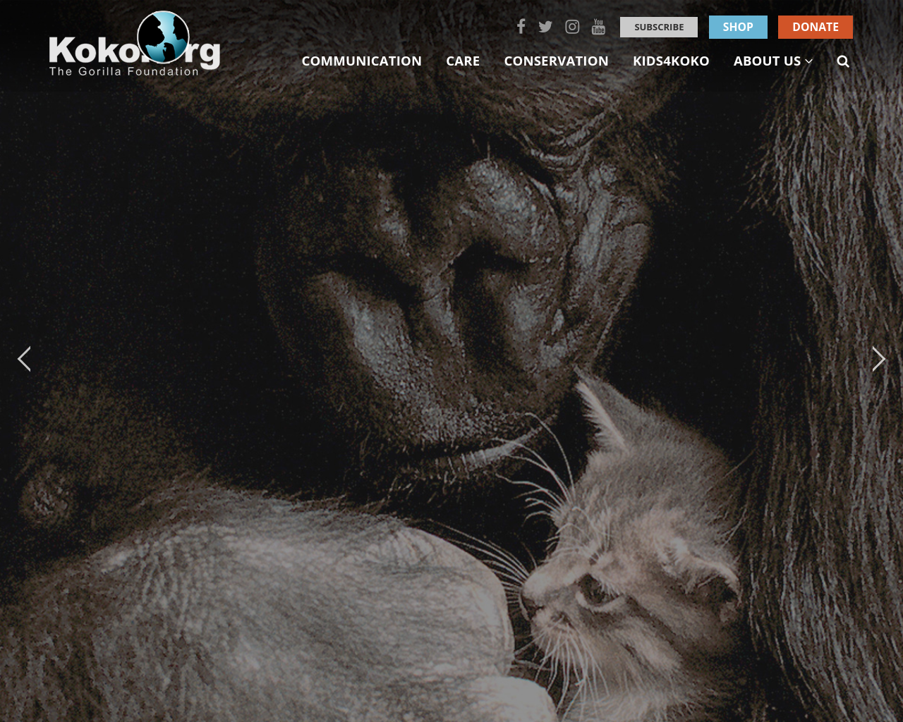 koko.org