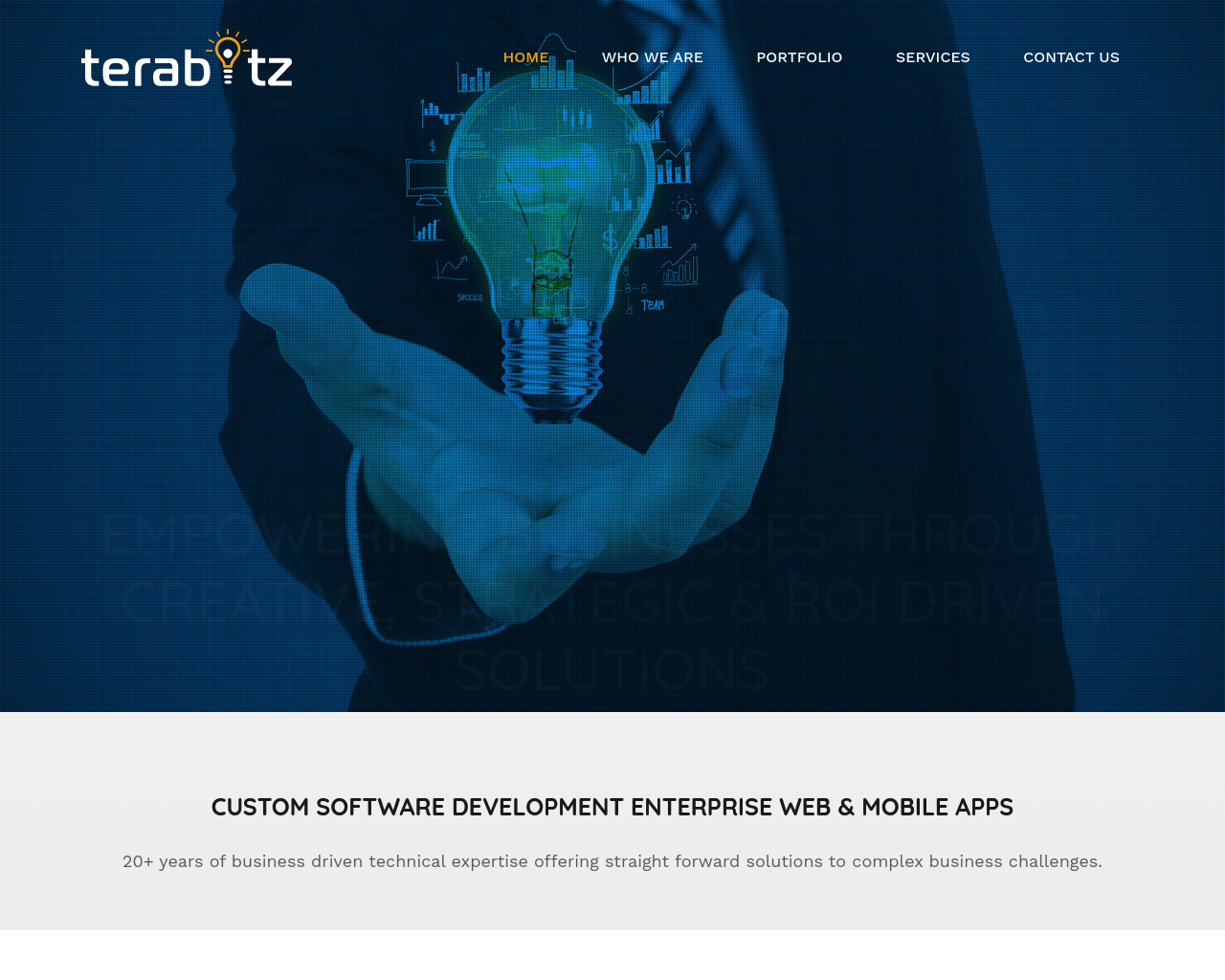 terabitz.com