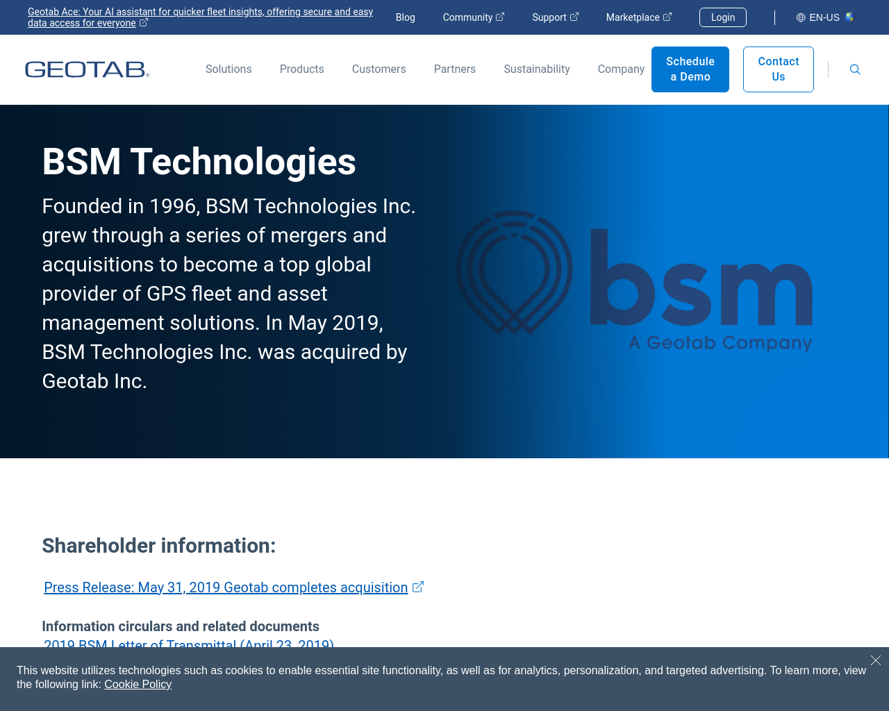 bsmtechnologies.com