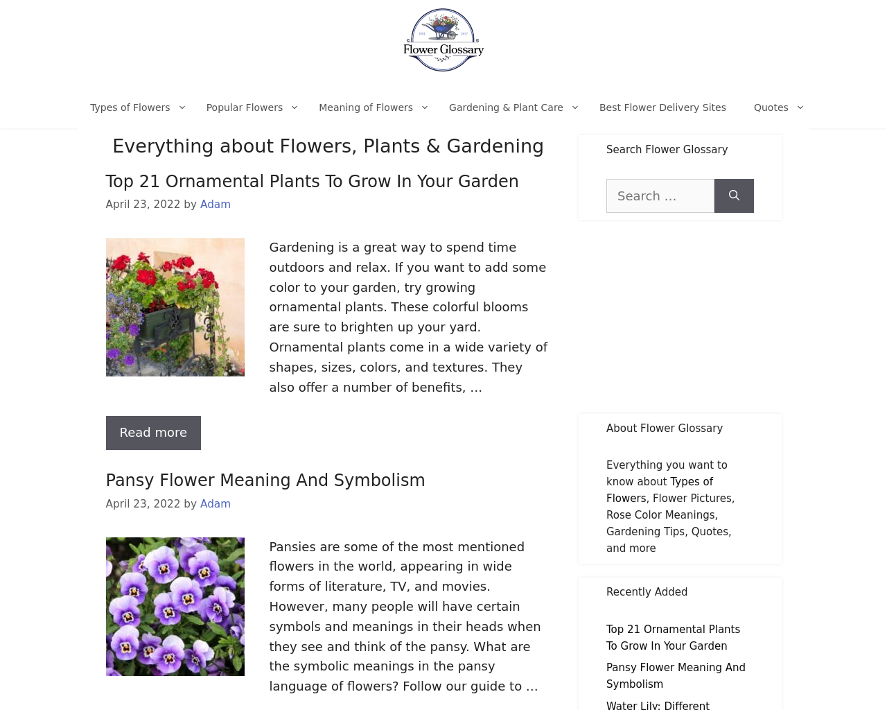 flowerglossary.com