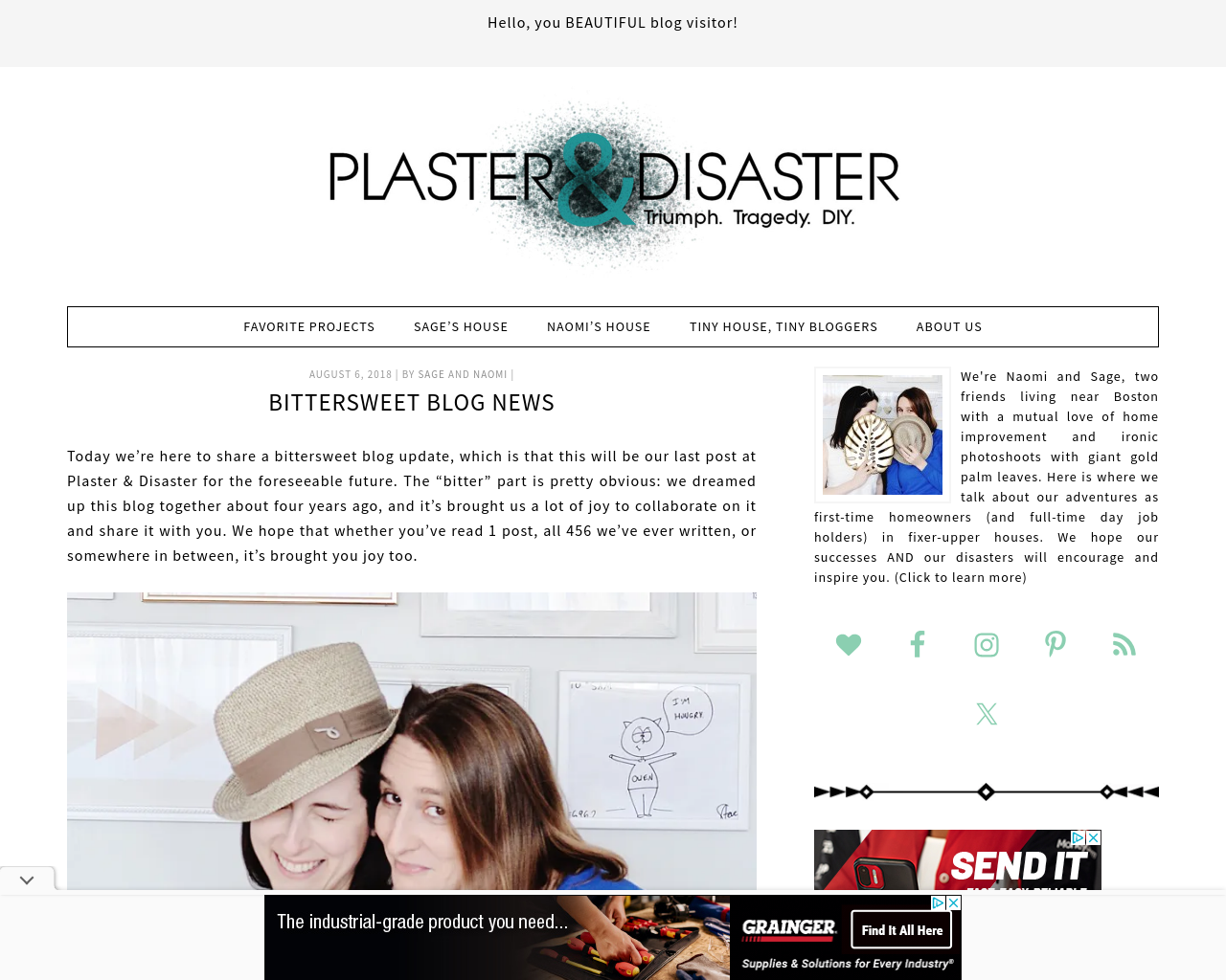 plasteranddisaster.com