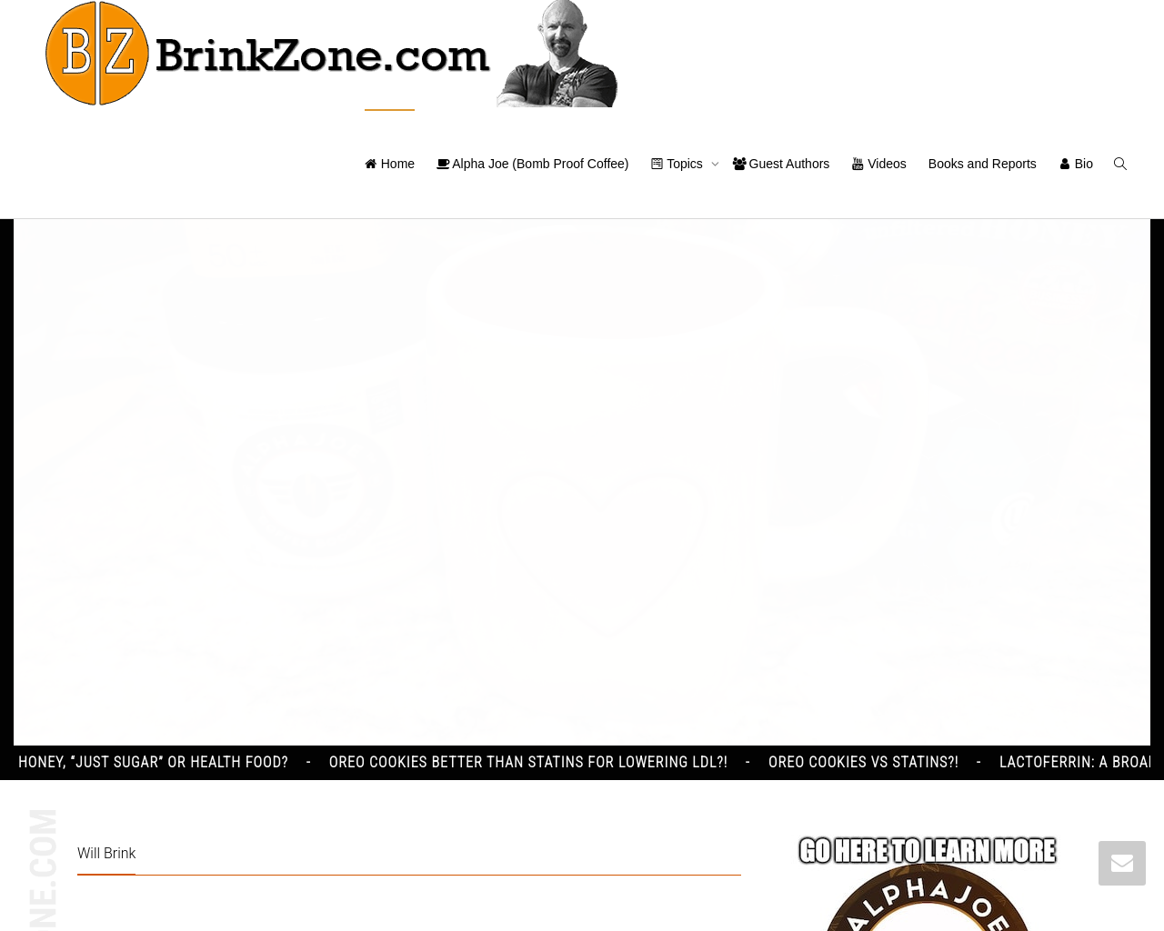 brinkzone.com