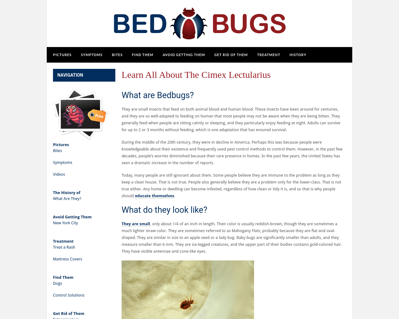 bedbugs.org